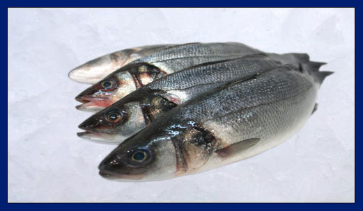 Seabass 600/800 gr