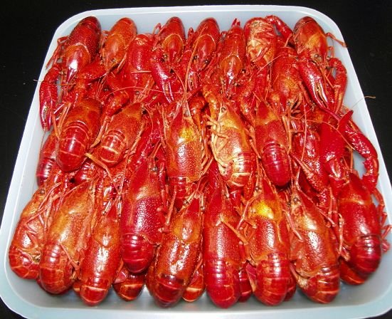 Crayfish  "à la Nage"