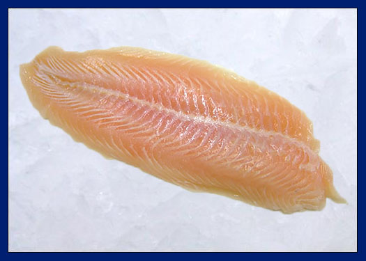 Fillet of pangasius