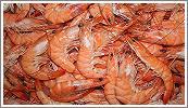 Crevettes cuites 30/40